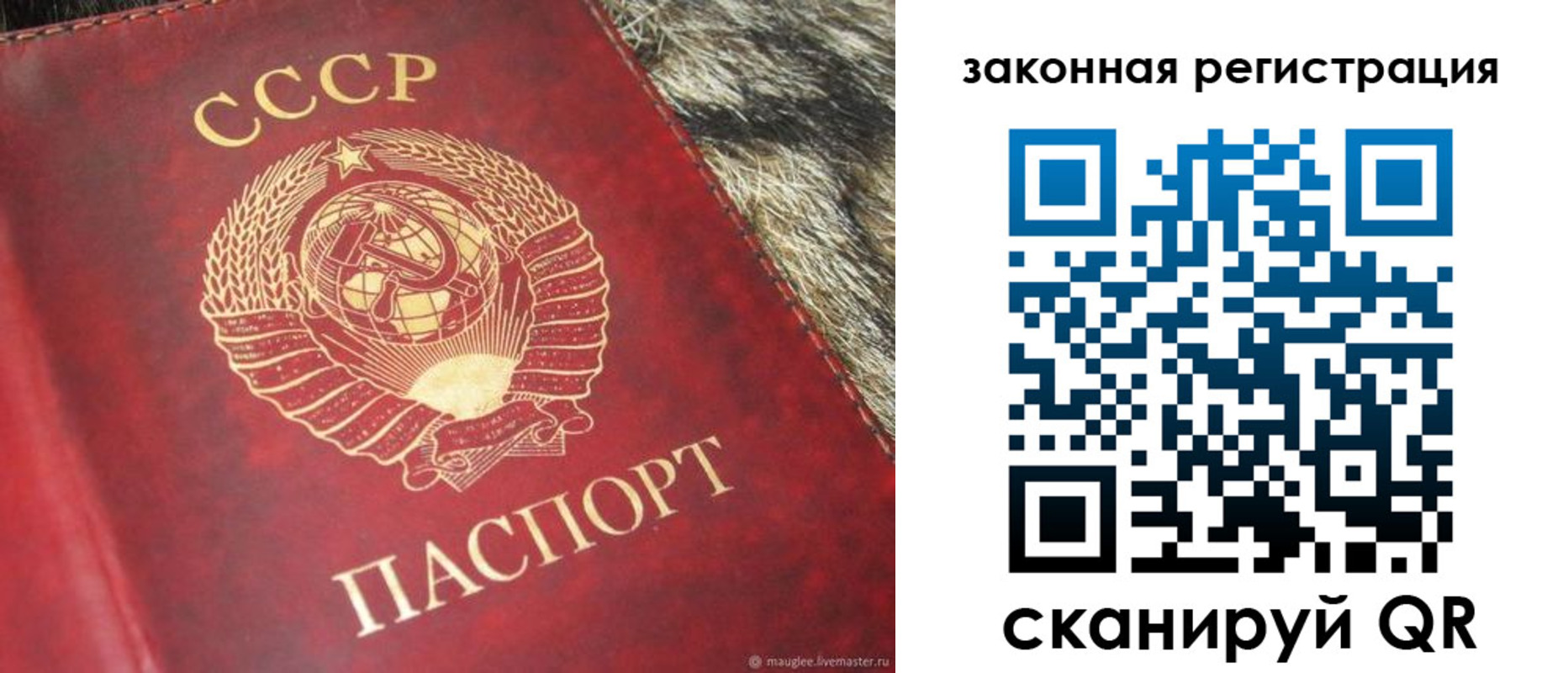 прописка от собственника в Волгореченске